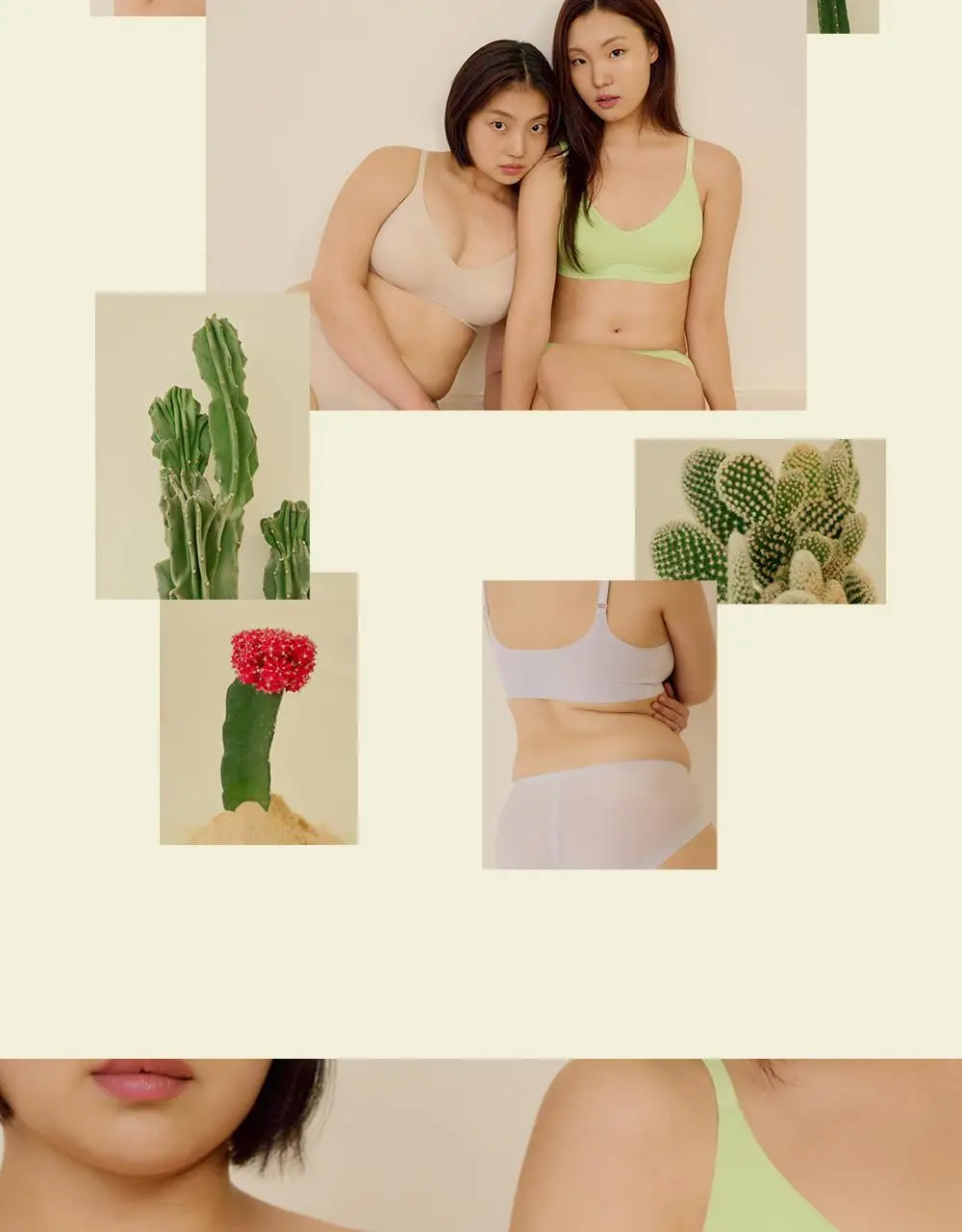 [류혜영 PICK] 마른파이브 쉬어 브라 시그니처 플러스 5colors (S~XXL) 상세페이지 3